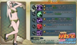 泳装忍者技能爆料大全最新,全新爆料大全深度解析