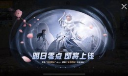空军虚妄杰作爆料视频,揭秘神秘爆料视频背后的真相