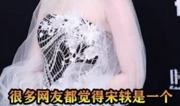 娱乐圈爆料宋轶是谁啊视频,宋轶是谁？视频爆料揭示明星身份之谜