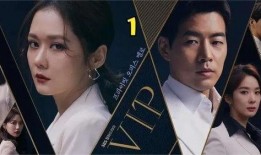 韩剧vip在线观看免费观看,免费畅享韩剧盛宴，独家解析剧情亮点