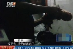 屠宰最新爆料视频播放