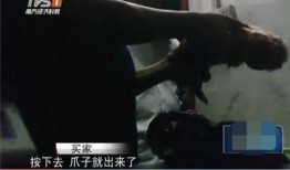 屠宰最新爆料视频播放