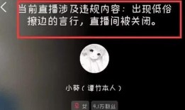 谭竹被人爆料视频,揭秘背后真相与争议