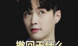 圈内八卦爆料刘宇宁,揭秘娱乐圈背后的神秘恋情