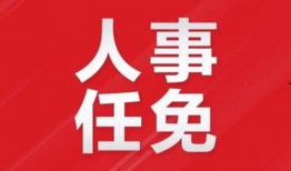 爆料视频赣州新闻最新,最新爆料视频揭露惊人内幕