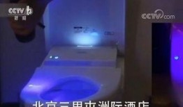 蓝莓网友爆料视频大全集,揭秘网络热点背后的真相