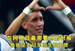 迪玛利亚最新爆料,职业生涯转折与未来展望