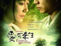 爱有来生高清在线观看