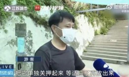 网红吃瓜兄妹是谁啊,网络红人的双胞胎传奇