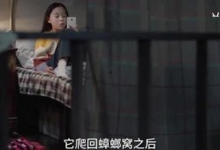 瓜姐最新爆料秘密视频在线观看,最新秘密视频在线观看，带你一探究竟！