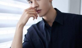 龚俊圈内人爆料了吗视频,揭秘明星幕后真相