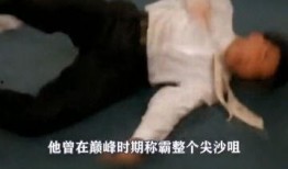 陈慧敏爆料视频大全集,揭秘娱乐圈不为人知的秘密