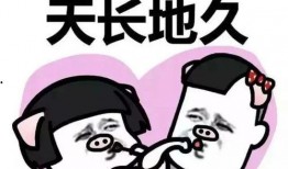 吃瓜娱乐姐妹微博,揭秘娱乐圈幕后故事