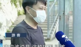 网红吃瓜兄妹是谁啊,网络红人的双胞胎传奇