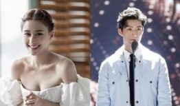 媒体爆料何超莲事件视频,真相与争议交织