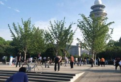 天津公园爆料视频最新,揭秘公园里的惊人秘密与奇闻轶事