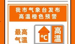 沈阳头条最新爆料,重大事件背后真相揭晓！