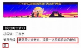 热点爆料采蘑菇视频,揭秘采蘑菇视频背后的热点事件