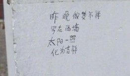 网红吃瓜感言句子,揭秘娱乐圈幕后真相
