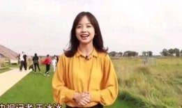 天涯爆料王冰冰被打视频,王冰冰被打事件视频曝光，真相令人震惊