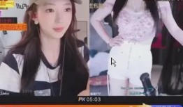 主播爆料蓝台是真的吗视频,蓝台真相曝光，视频内容真实性引热议