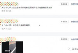 爆料的视频在哪里,视频爆料背后的惊人真相，带你一探究竟