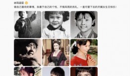 娱乐圈太太被曝暴力爆料,娱乐圈太太暴力爆料引发轩然大波