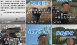 钓鱼爆料视频最新版,揭秘钓鱼技巧与陷阱