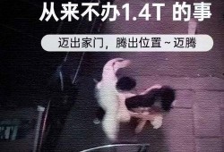 爆料视频打架是真的吗,真相究竟如何？