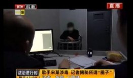 歌手爆料最新视频播放网站,揭秘最新热门视频播放网站背后的秘密