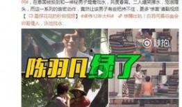 狸猫大力染色爆料视频大全,视频大全带你领略染色艺术魅力