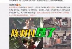 阿诺最新爆料消息视频,揭秘幕后的惊人真相！