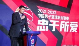 中国赛季爆料最新消息,中国足球联赛最新爆料揭秘