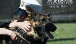 战犬 在线观看,忠诚守护，生死较量