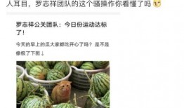 有没有网红吃瓜的网站,揭秘热门网站背后的瓜界风云