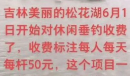 钓鱼爆料视频最新版,揭秘钓鱼技巧与陷阱